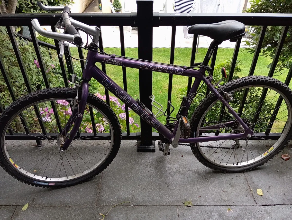 Adult Bicycle and Young Teen Bicycle - Image 2