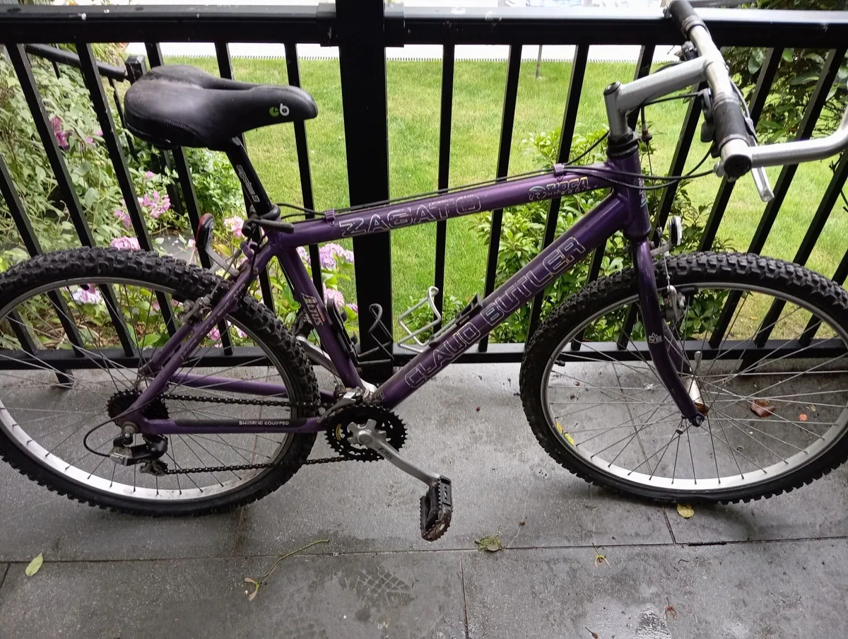 Adult Bicycle and Young Teen Bicycle - Image 1
