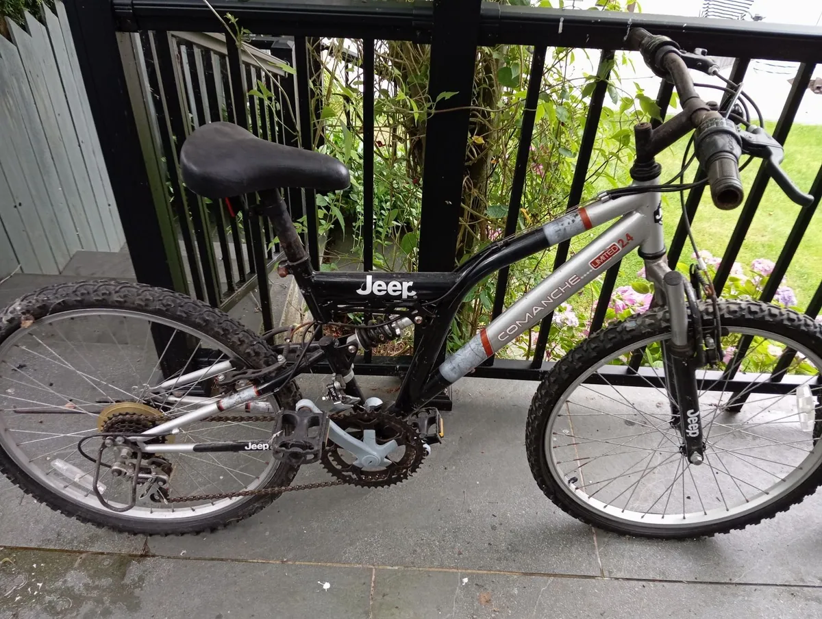 Adult Bicycle and Young Teen Bicycle - Image 3