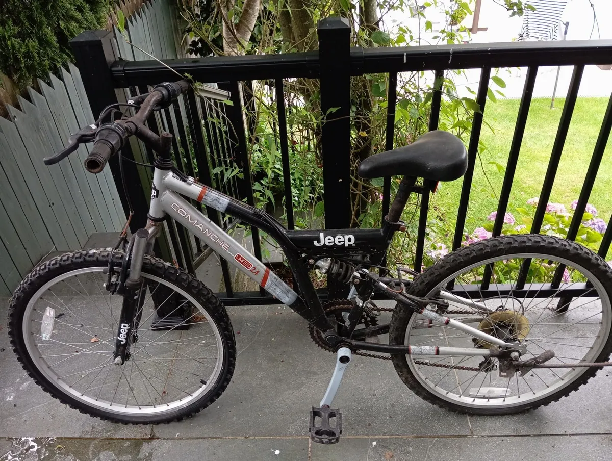 Adult Bicycle and Young Teen Bicycle - Image 4