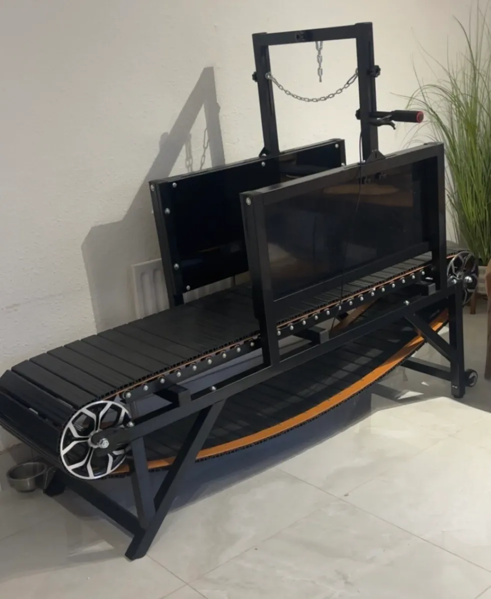 Dog Treadmill - Image 1