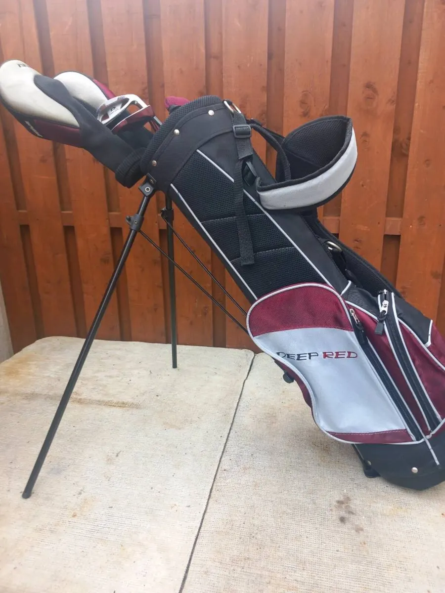 Wilson Junior golf clubs and bag. - Image 1
