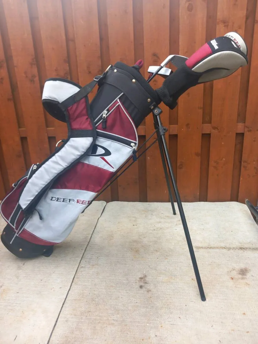 Wilson Junior golf clubs and bag. - Image 2