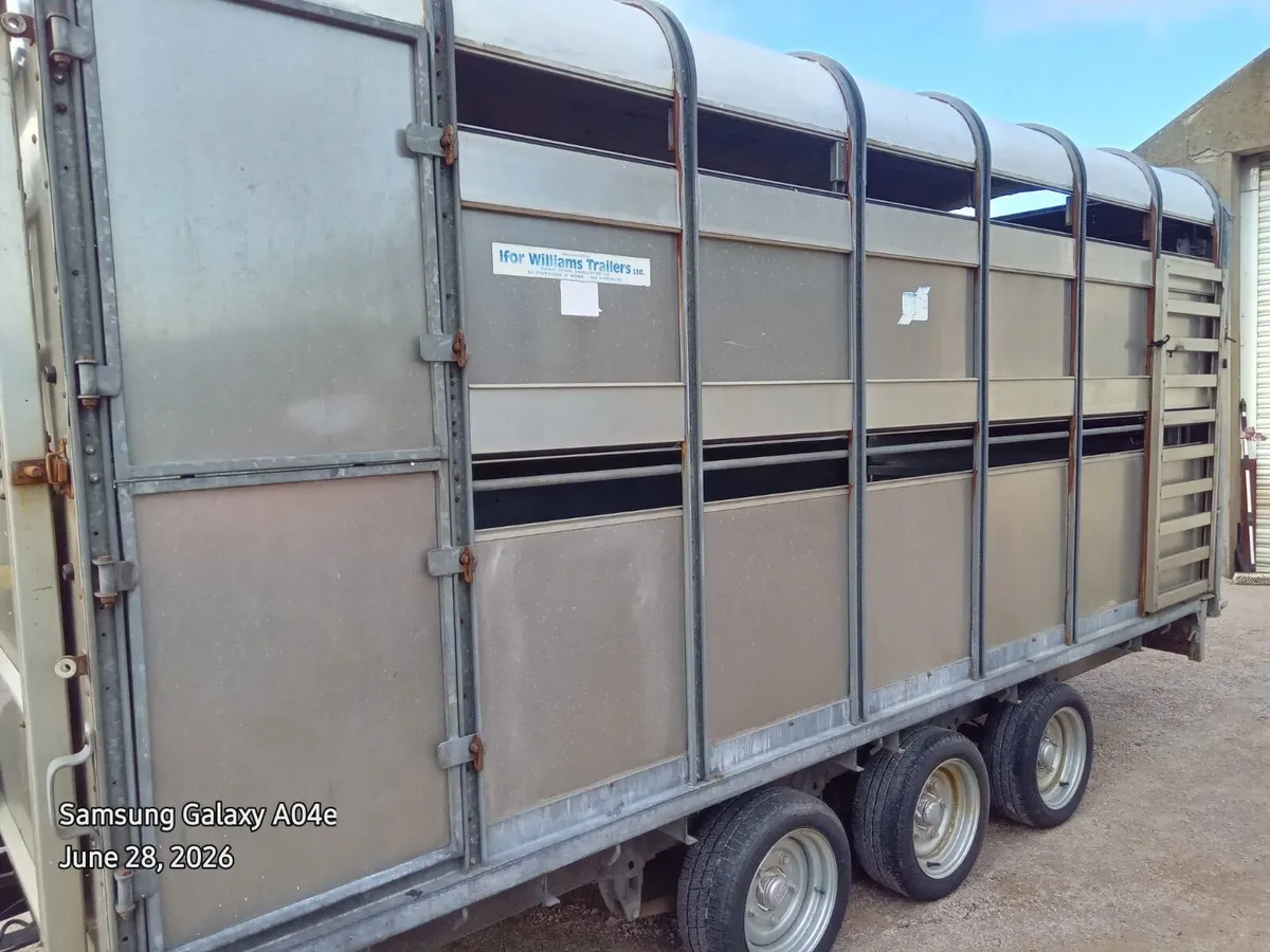 14ft x 6ft Williams Cattle Body with Sheep Decks - Image 2