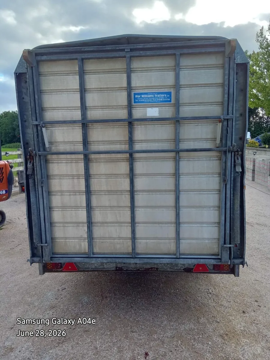 14ft x 6ft Williams Cattle Body with Sheep Decks - Image 4