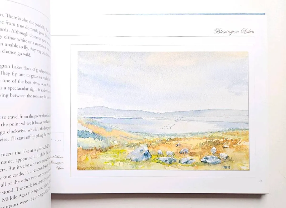 The Liffey Portrait of a River (signed)Liffey Book - Image 4
