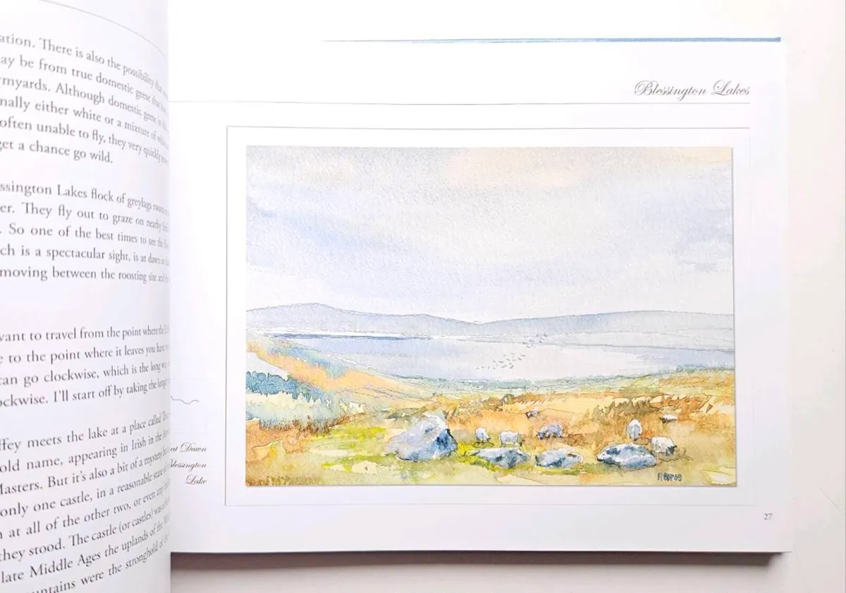 The Liffey Portrait of a River (signed)Liffey Book - Image 3