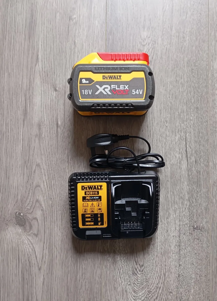 DeWalt Battery & Charger (New)