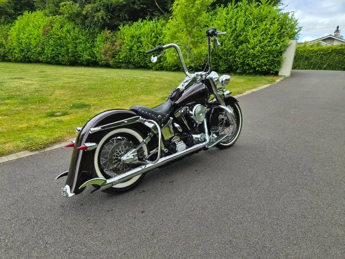 Harley softail custom - Image 4