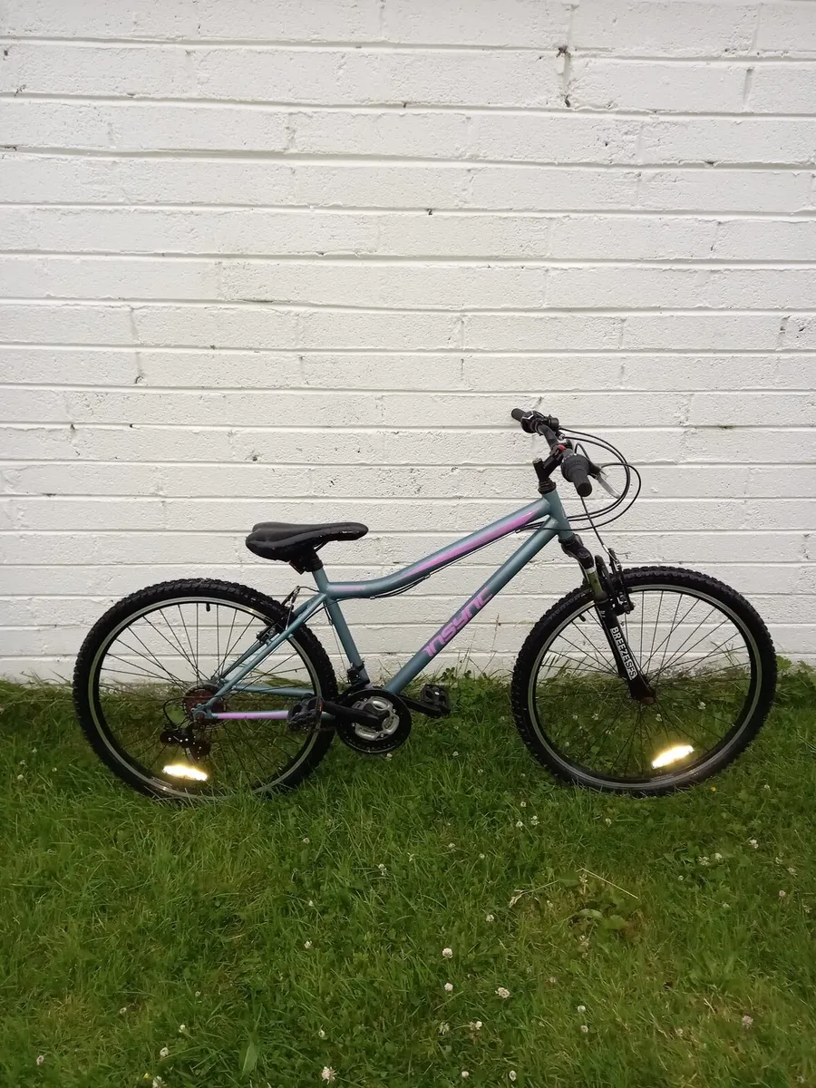 Girls insync breeze sfs mountain bike - Image 2