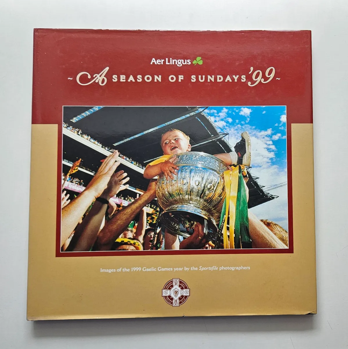 A Season of Sundays 1999 - GAA Book