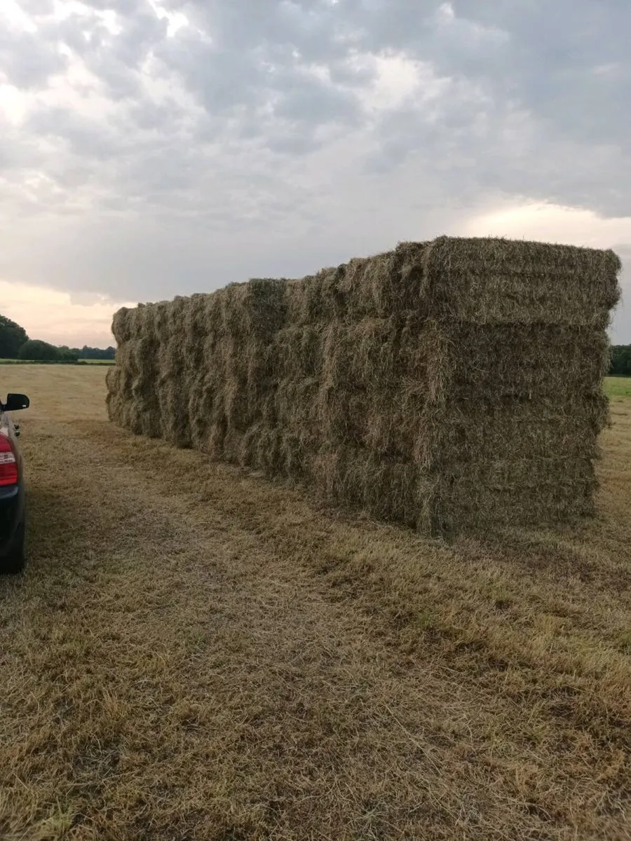 Big square bales of hay