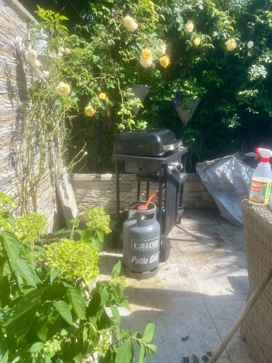 Gas Barbecue - Image 4