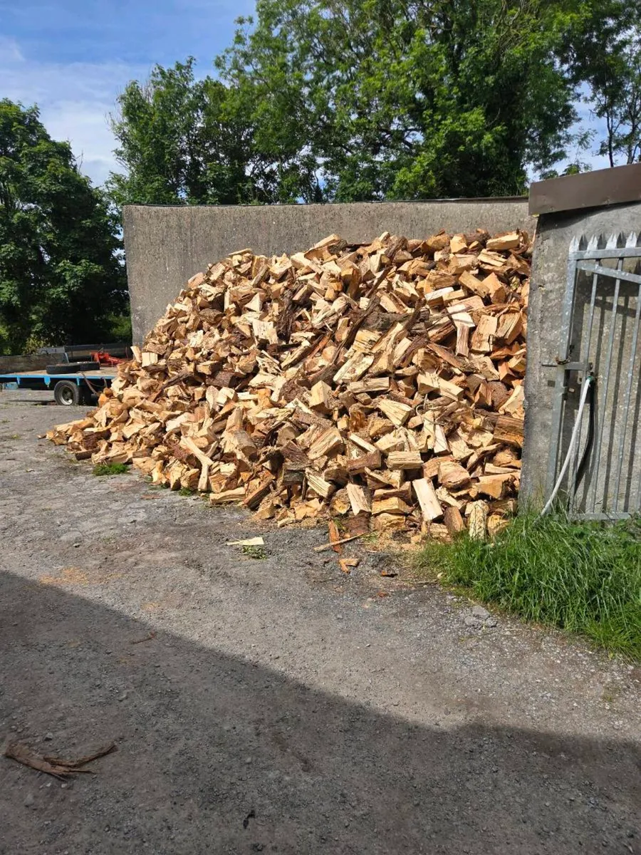 Fire Wood  for sale - Image 2