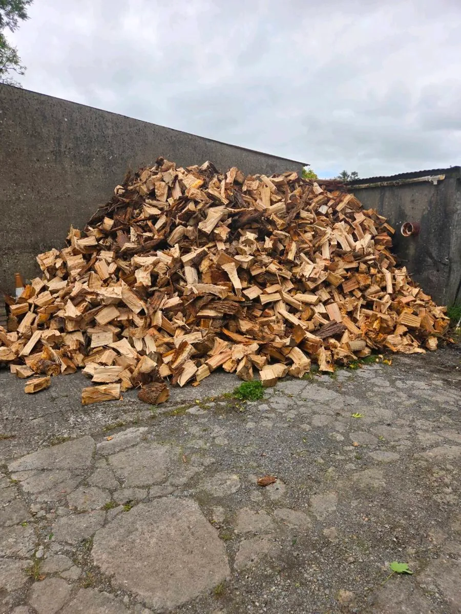 Fire Wood  for sale - Image 3