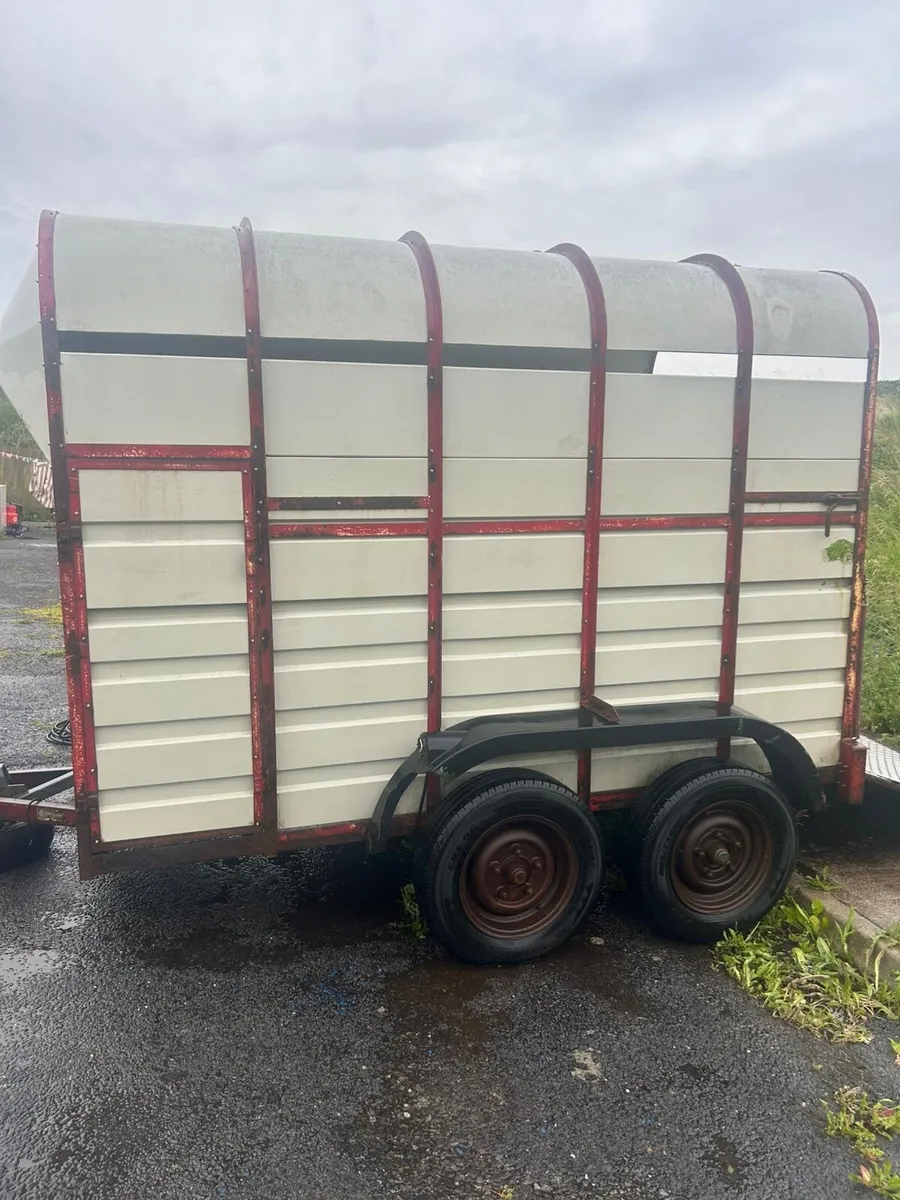 Horse/cattle trailer - Image 2