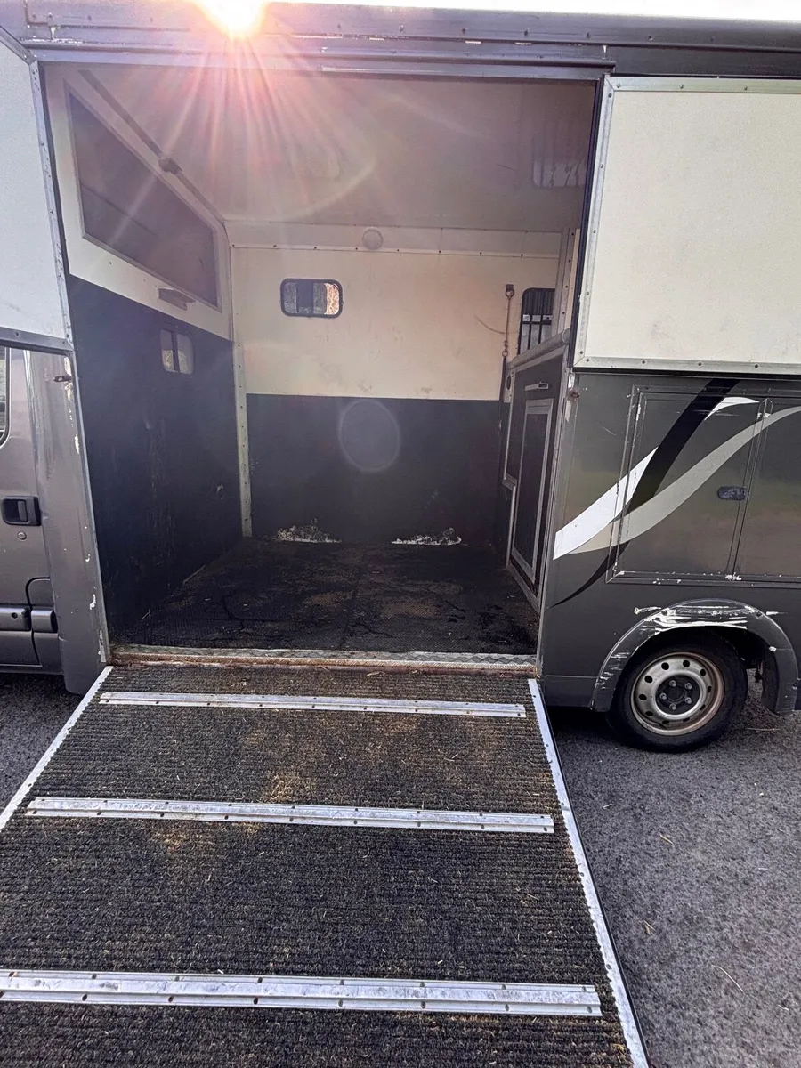 Vauxhall Movano 2Box Horse Transport - Image 2
