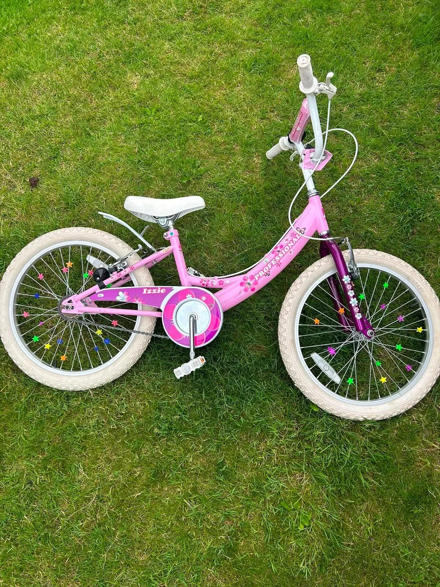 Girls Bicycle - Image 2