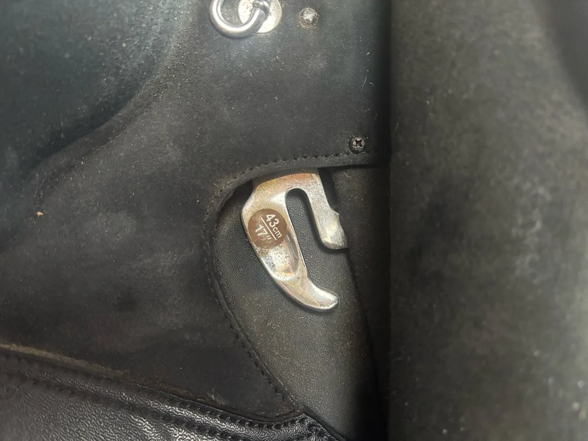 Dressage saddle - Image 4