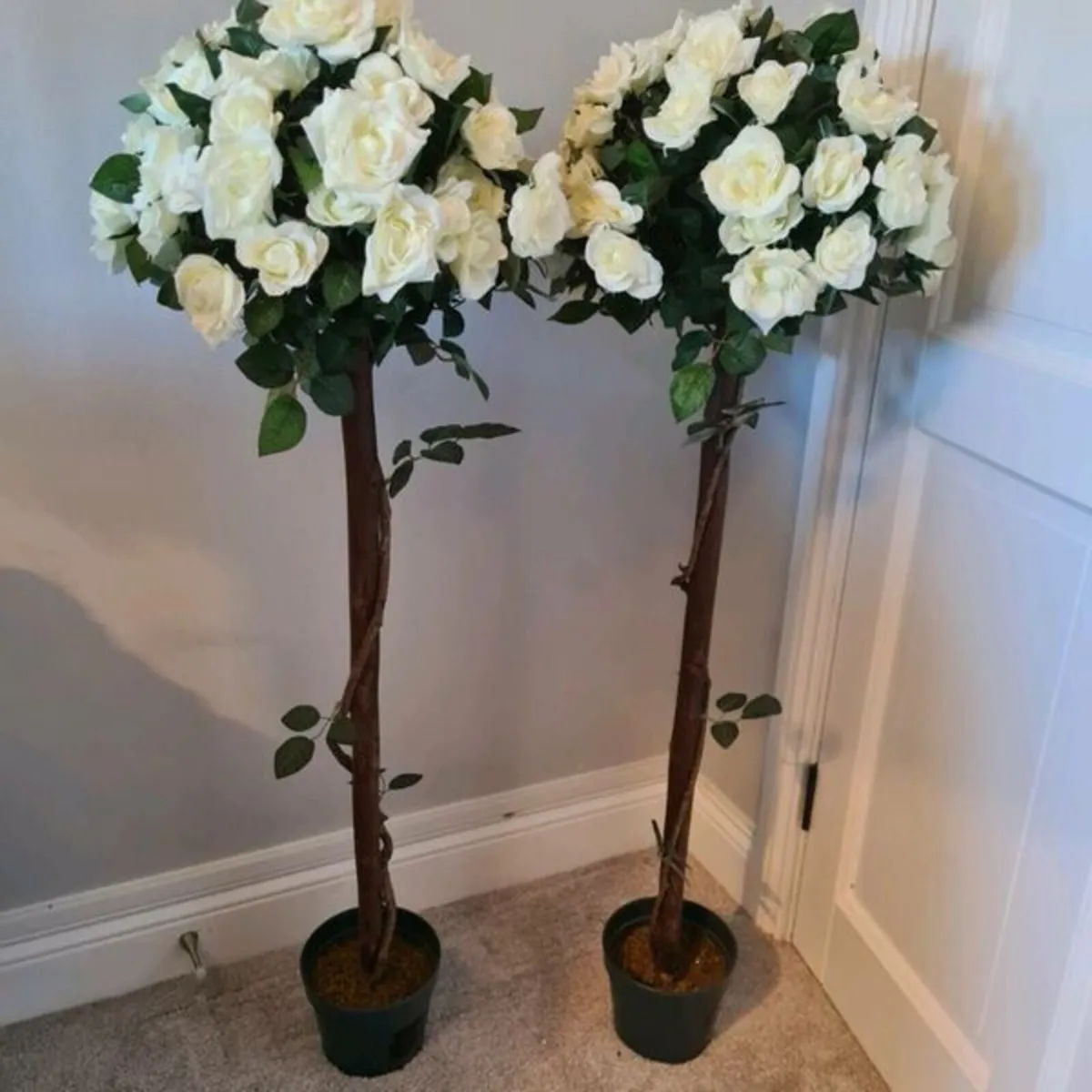 Rose Trees for Hire