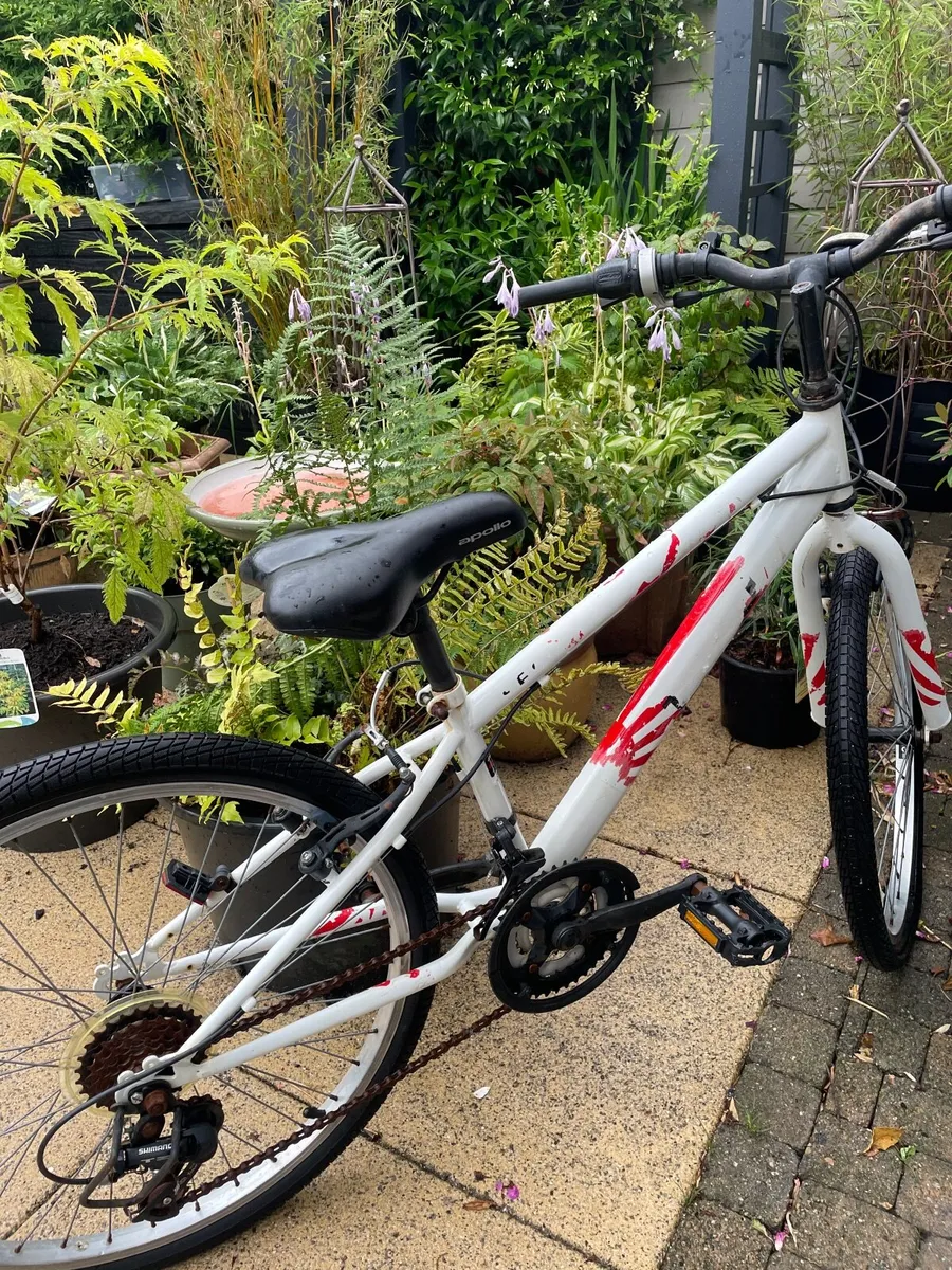 Boy's Bike