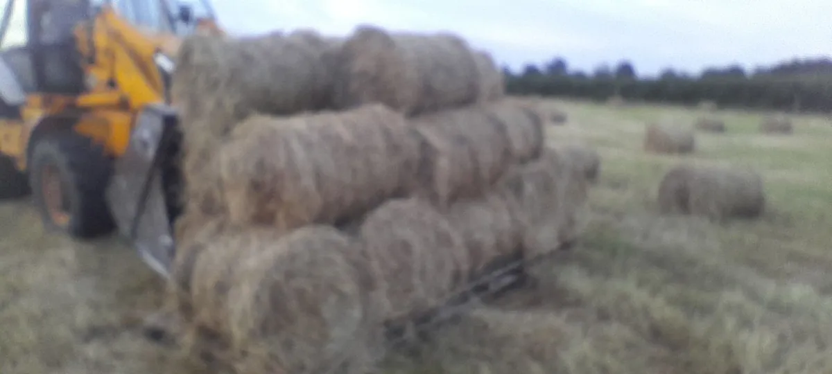 Mini round bales hay - Image 1