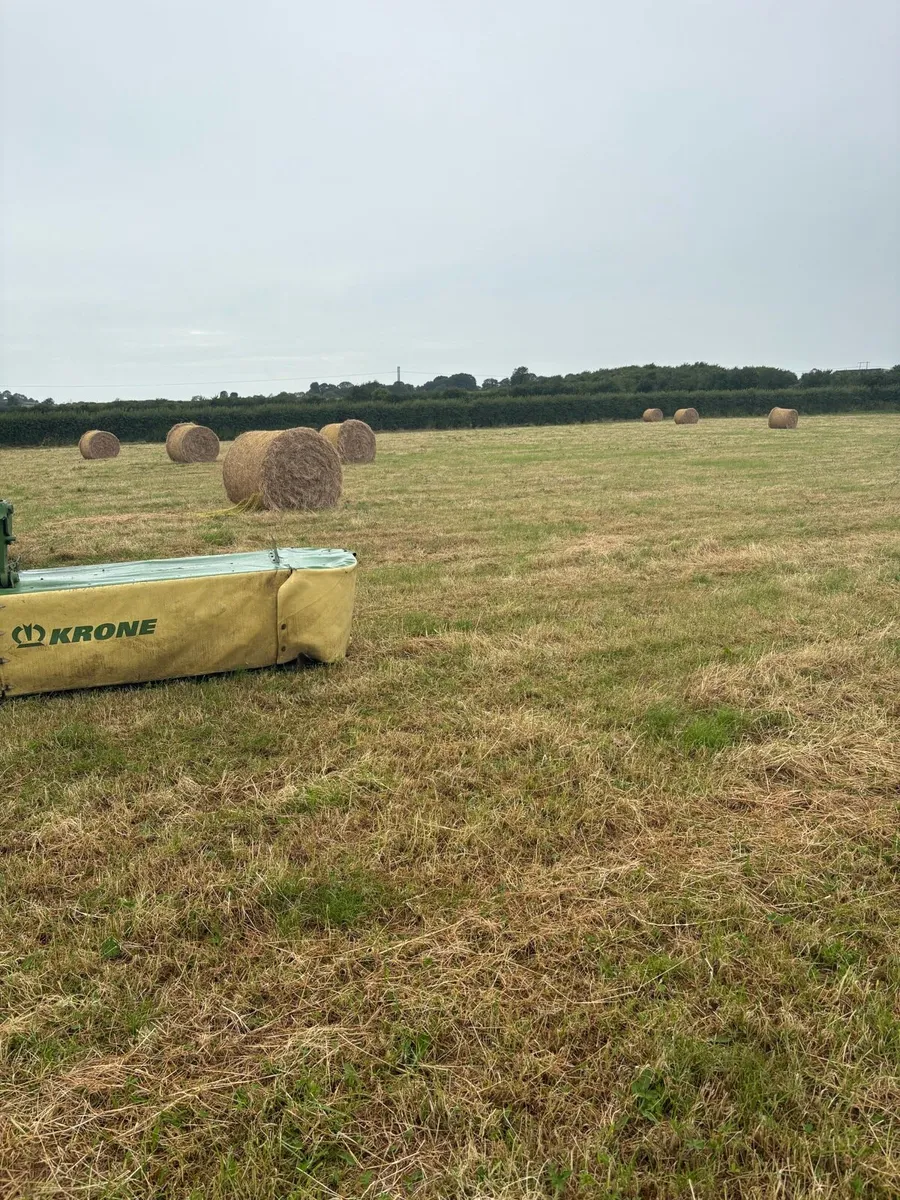 Hay & Silage - Image 3