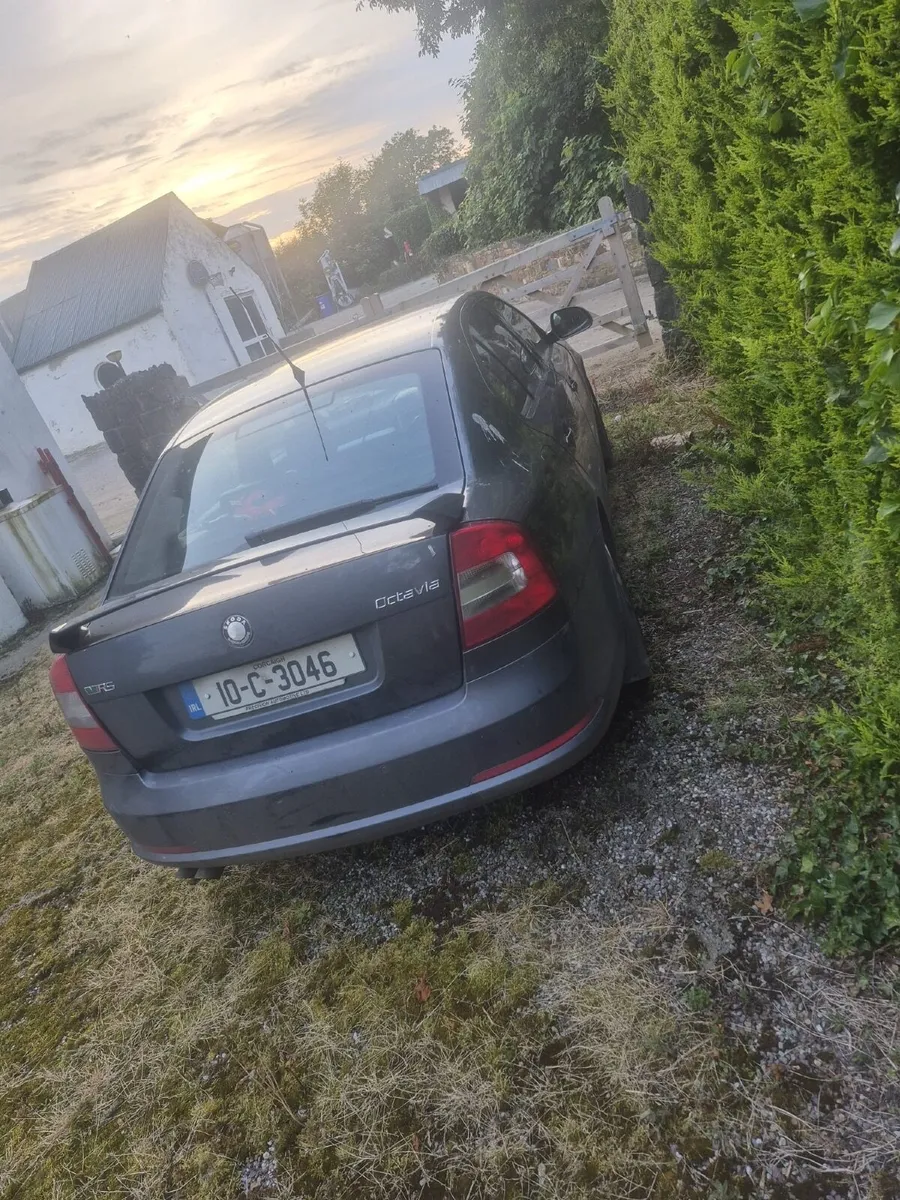 Skoda Octavia VRS 2010 automatic - Image 3