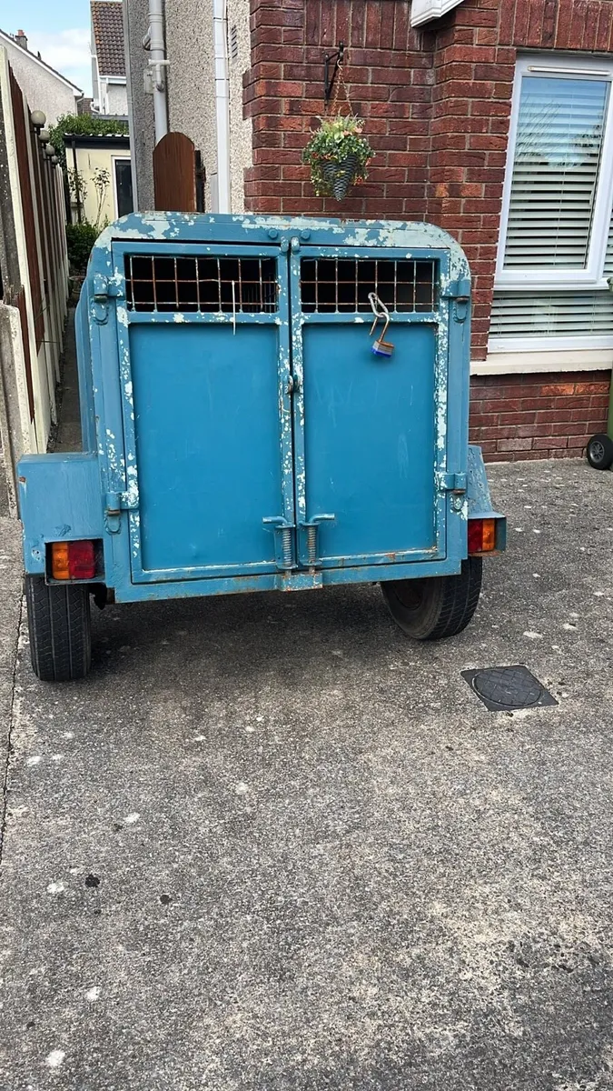 Dog Box - Image 1