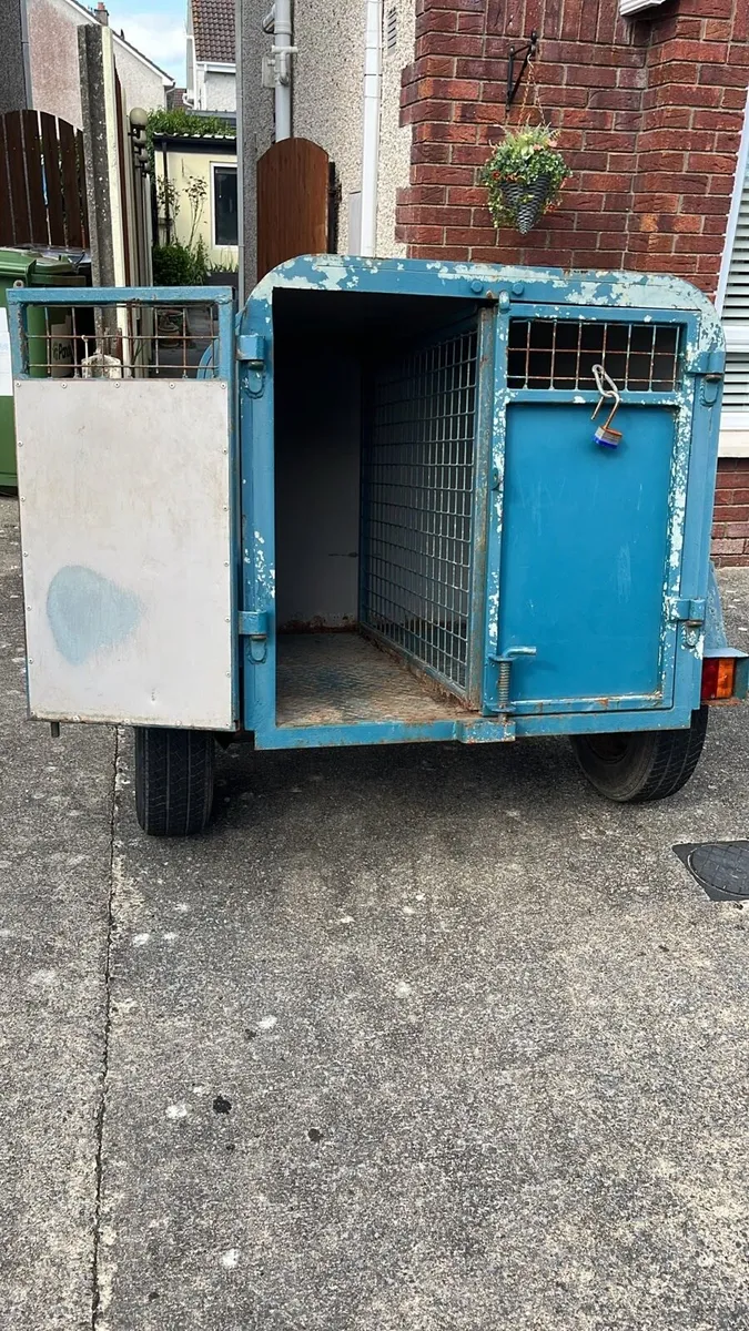 Dog Box - Image 4