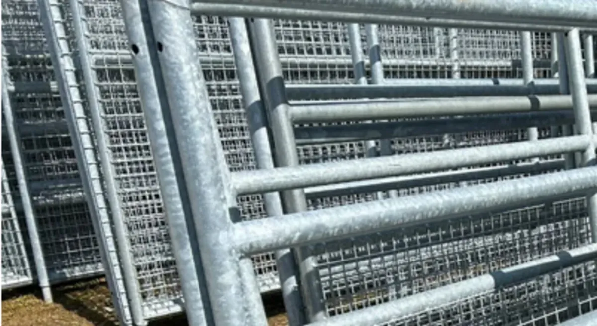 Galvanised Gates - Image 1