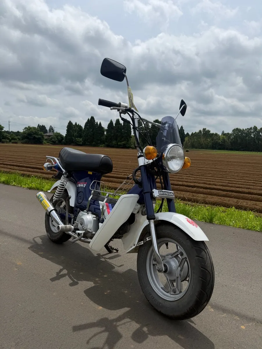 1988 Honda Chaly Mini Bike - Image 2