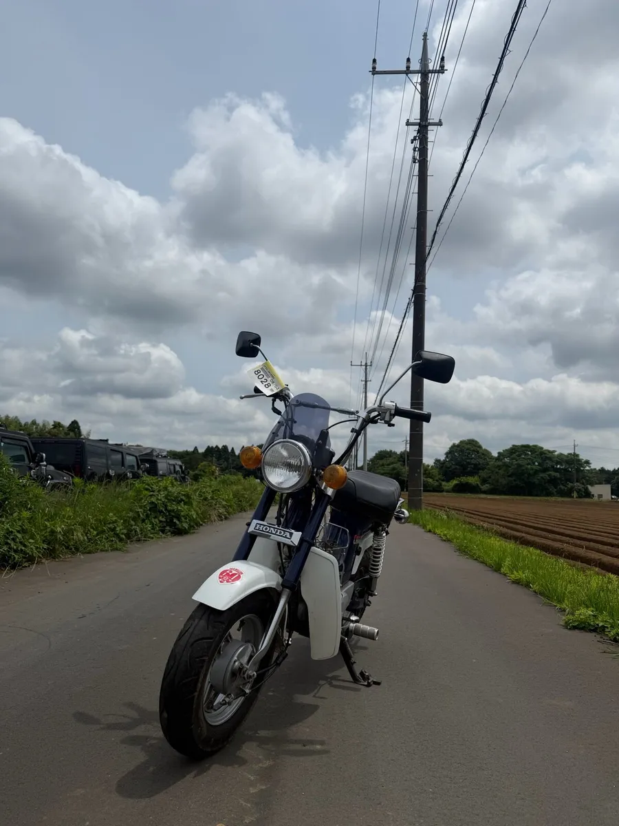 1988 Honda Chaly Mini Bike - Image 3