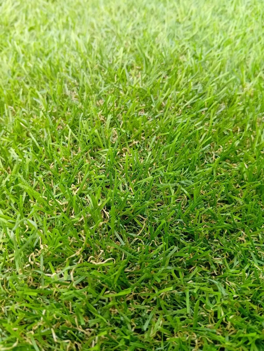 Artificial Quality Grass 4 X 5m 35mm 20sq.m - Image 2