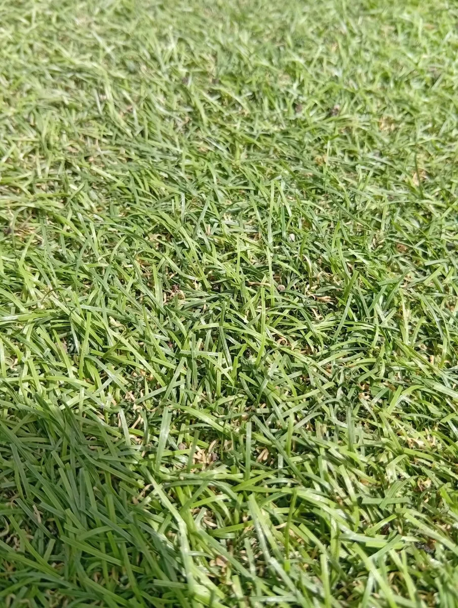 Artificial Quality Grass 4 X 5m 35mm 20sq.m - Image 3