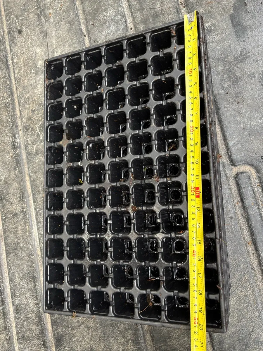 Hassy propagation trays - Image 2