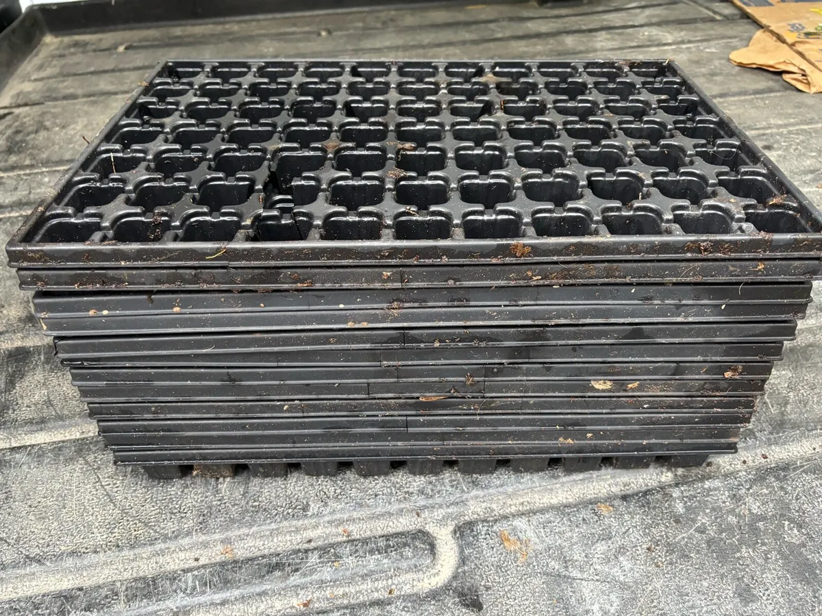 Hassy propagation trays - Image 3
