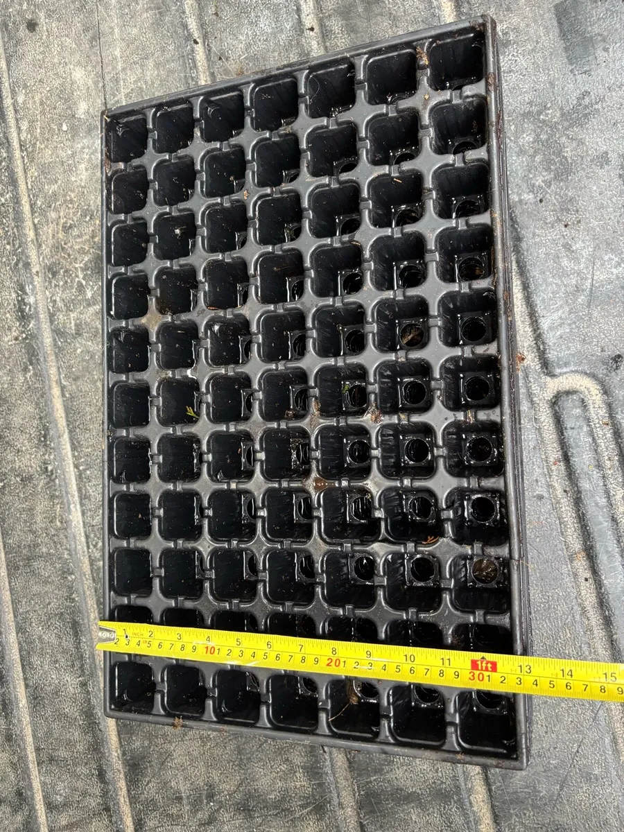 Hassy propagation trays - Image 1