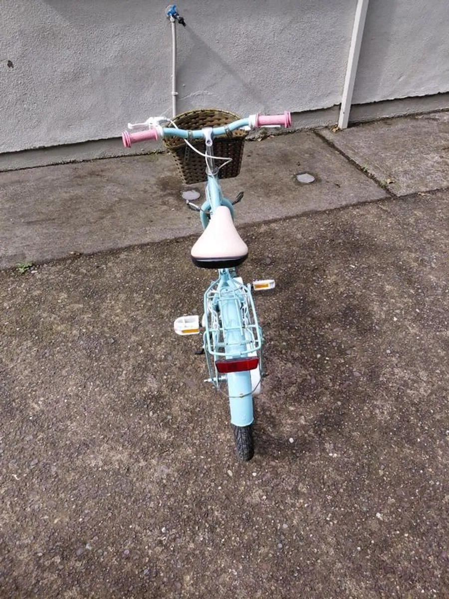 Bike - Image 1
