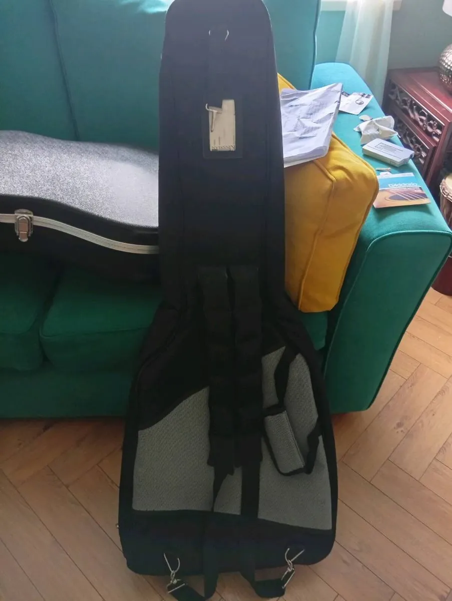 Guitar case - Image 2