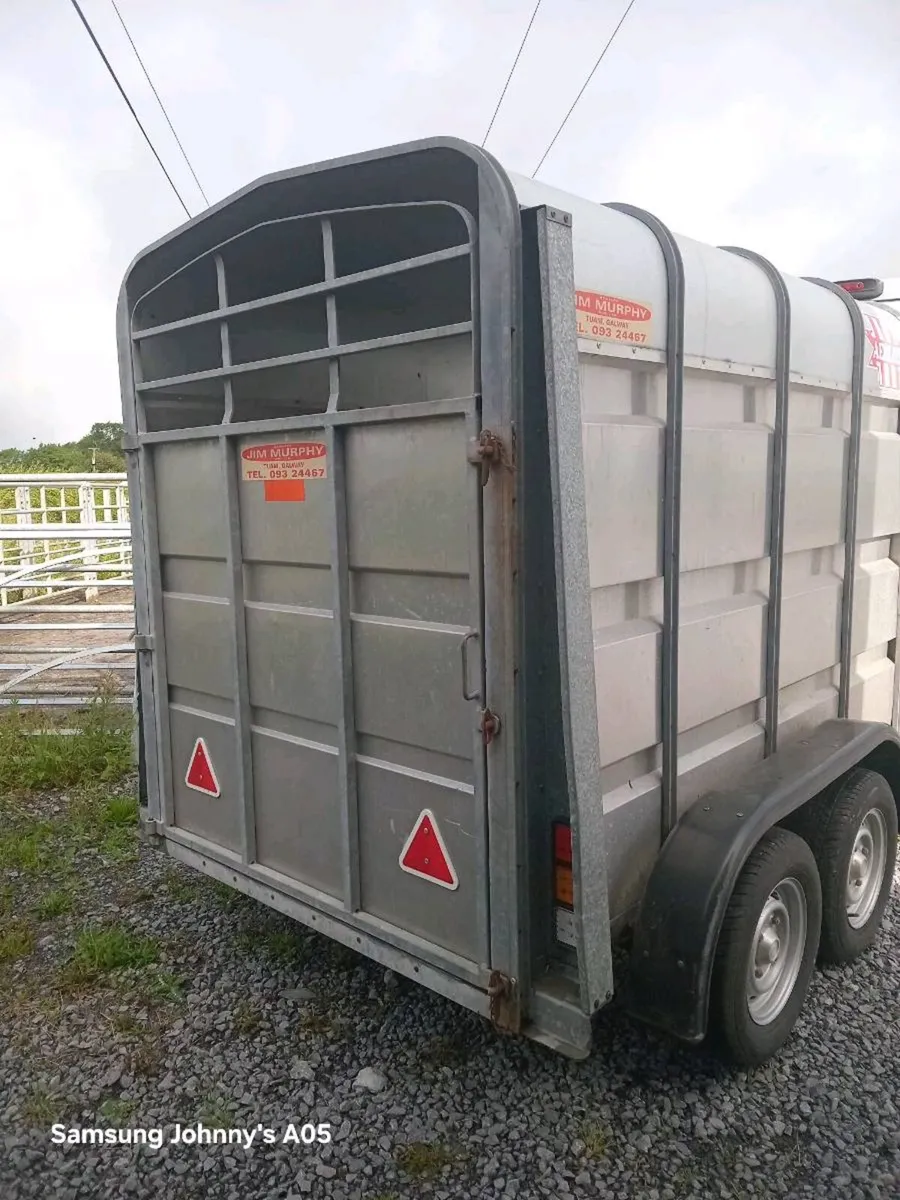 Cattle Trailer/ Jim Murphy Aerlite - Image 2
