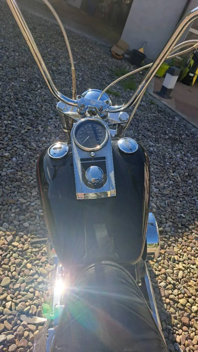 Harley Davidson - Image 2
