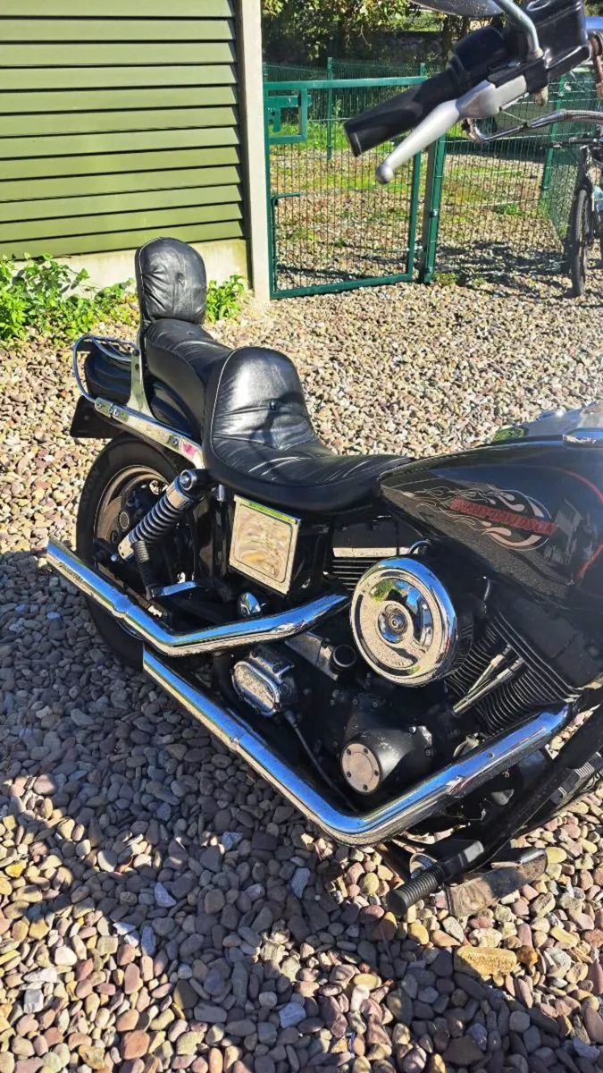 Harley Davidson - Image 4