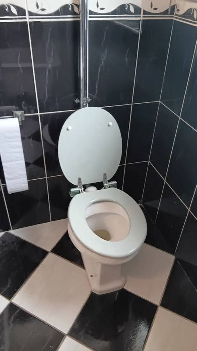 High-Level Toilet & Cistern - Image 3