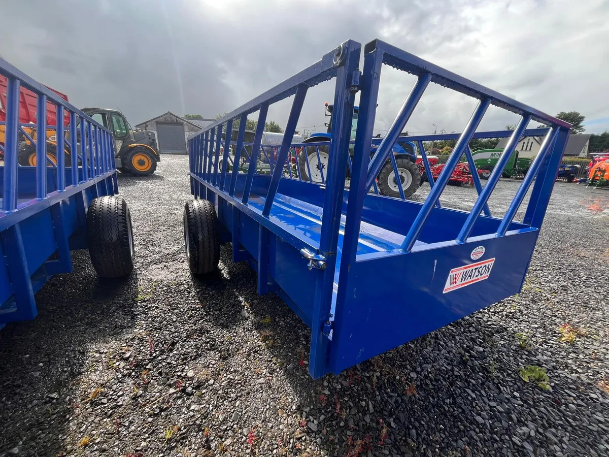 WATSON 16 X6 FEED TRAILER - Image 2
