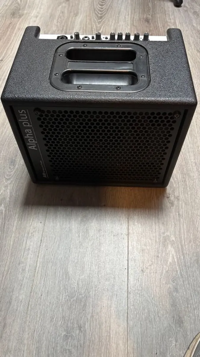 AER Alpha Plus Acoustic Guitar Amplifier - Image 1