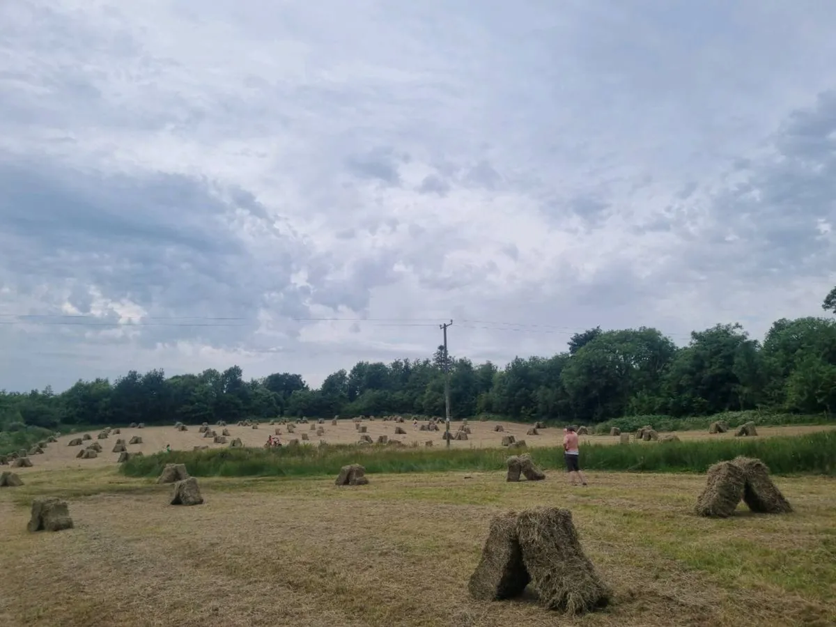 Organic Square Bales