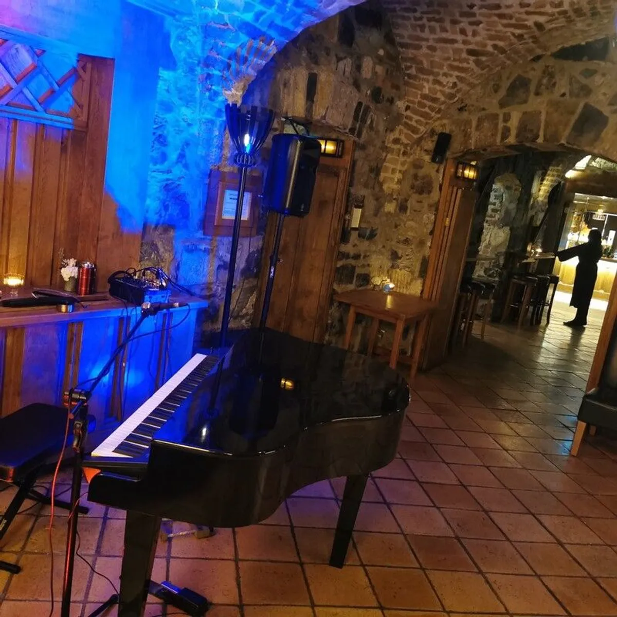 Grand Piano Shell - Image 1