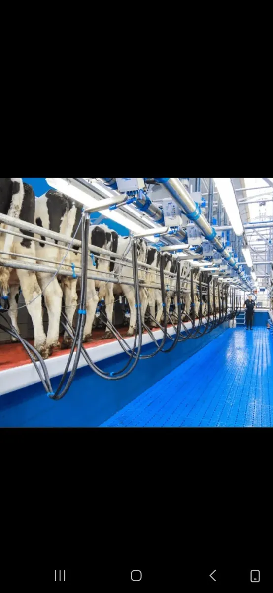 Milker available