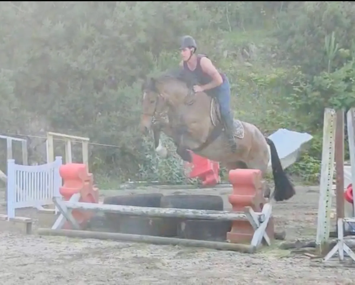 Cracking little cob. - Image 3